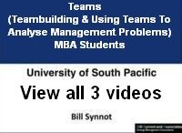 bsa usp mba 2013tri3 video